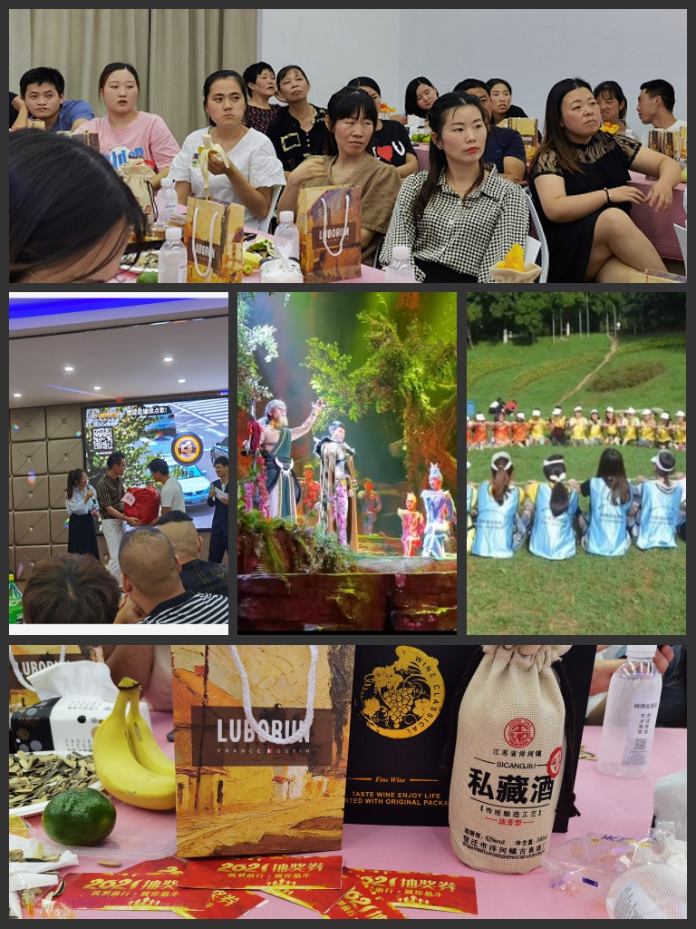 发展历程(图1)